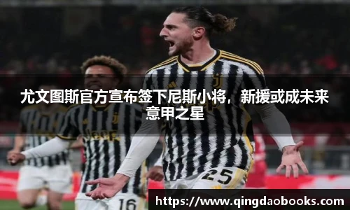 快盈VIII