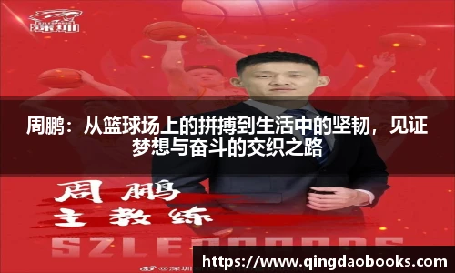快盈VIII首页