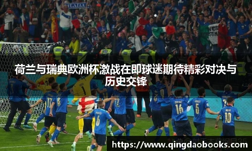 荷兰与瑞典欧洲杯激战在即球迷期待精彩对决与历史交锋